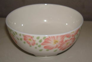 厂家直销日用家居百货 餐居碗碟选购指南